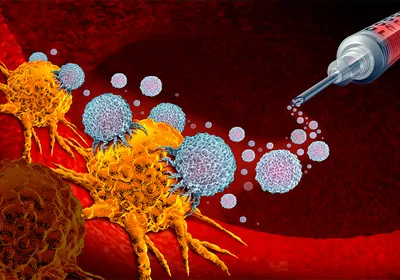 Identifying Biomarkers to Guide Cancer Immunotherapy